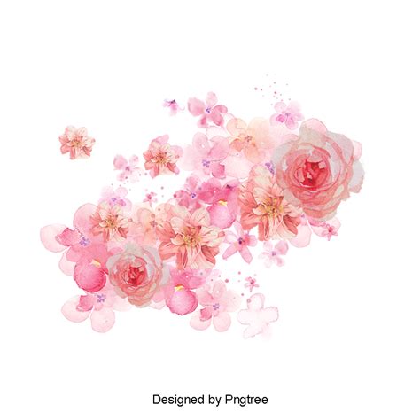 Watercolor Shading Hd Transparent Watercolor Flowers Shading Pink