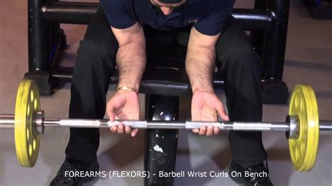 Forearms Flexors Barbell Wrist Curls On Bench Youtube