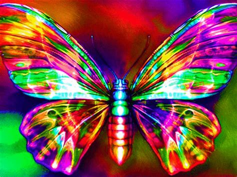 Neon Rainbow Butterfly  By Popsmaroon Photobucket