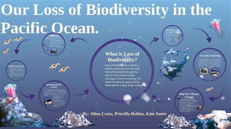 Our Loss Of Biodiversity In The Pacific Ocean By Kim Santo On Prezi