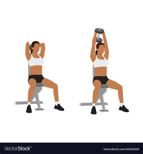 Seated Tricep Press Overhead Extensions Exercise Vector Image Hot Sex Picture