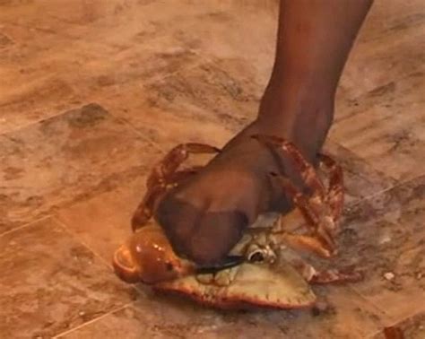 Women Crush Crab