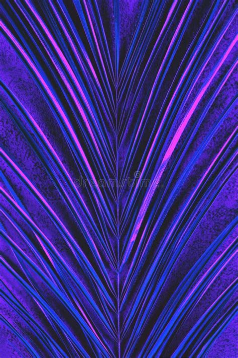 Closeup Of Neon Colored Palm Leaf Background Stock Image Image Of