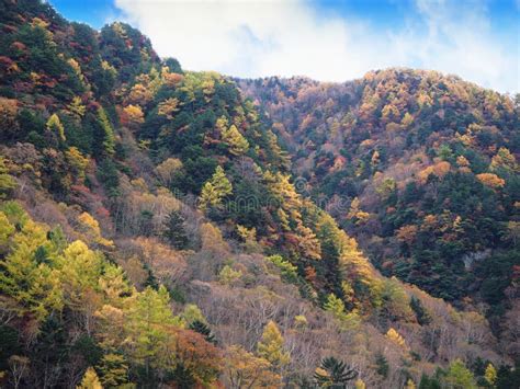 Kamikochi Natural Park In Autumn Stock Photo Image Of Nature