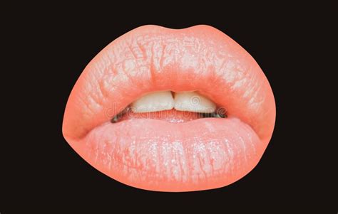 Sensual Woman With Sensual Lips Close Up Perfect Natural Lip Female Mouth Plump Full Lips
