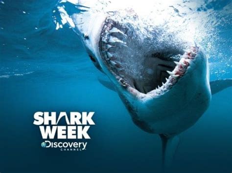 From wikimedia commons, the free media repository. Discovery Announces 2016 Shark Week Lineup