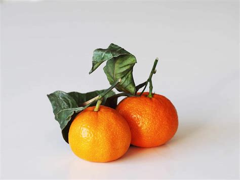 Mandarin Orange For Babies Solid Starts
