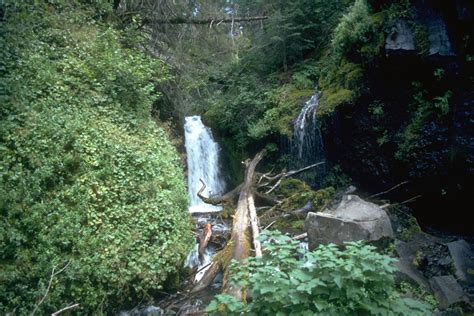rivers and streams, (Freshwater biomes: Miscellaneous Rivers and