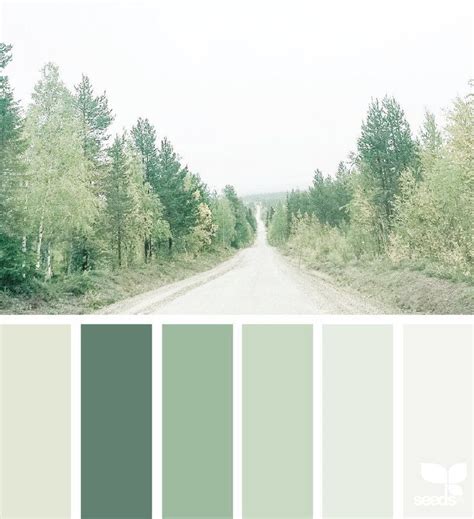 Image Result For Sage Color Palette Sage Color Palette Green Colour