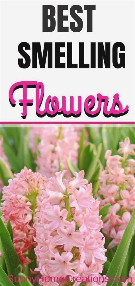 10 Best Smelling Flowers For Your Yard Modern Design In 2020 Best
