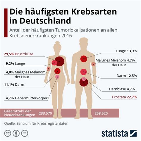 Die Häufigsten Krebsarten In Deutschland Arzt Wirtschaftde