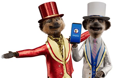 Compare The Meerkat Dog Insurance Compare Meerkat Allows Actually Site