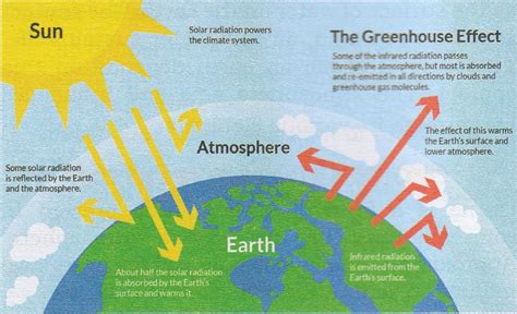 Draw A Well Labelled Diagram To Explain The Greenhouse Knowledgeboat