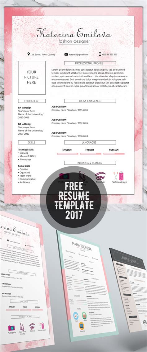cv resume templates  freebies graphic