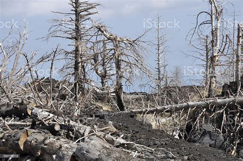 Devastated Landscape After Natural Disaster Stock Photo Download