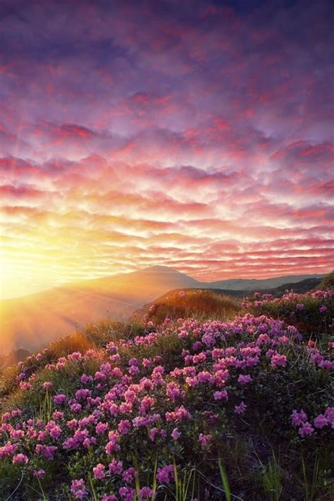 Iphone Wallpaper Nature Nature Sunrise Beautiful Sunrise