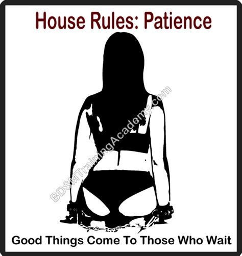 Bdsm House Rules Patience The Bdsm Training Academy