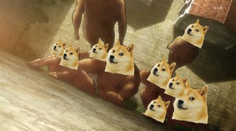 Image 651787 Doge Know Your Meme