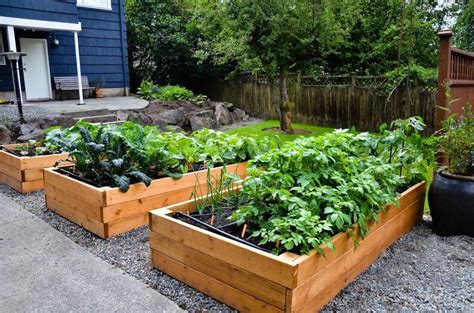 Baoyouni rectangular raised garden bed kit indoor outdoor plastic planter grow box for fresh vegetables, herbs, flowers & succulents, brown, 46.06'' x 15.35'' x 14.96'' 5 $85 99 ($17.51/sq ft) Cool Raised Vegetable Garden Design Ideas - Incredible ...