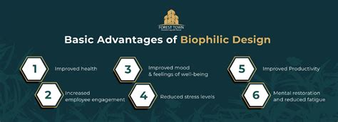 Biophilia And Biophilic Design In Depth Guide