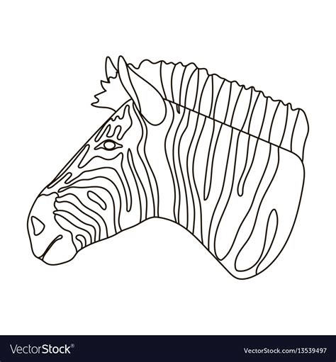 Zebra Icon In Outline Style Isolated On White Vector Image