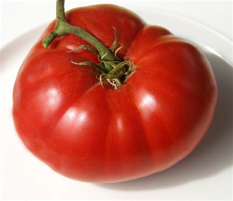 Believe It Or Not Tomato A Comprehensive Guide World Tomato Society