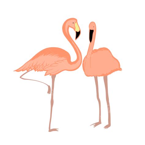 Flamingo Bird Clipart Hd Png Flamingo Pink Bird Hand Painted Flamingo