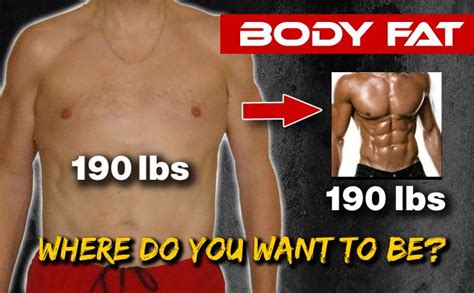 How To Test Body Fat Percentage At Home Athlean X