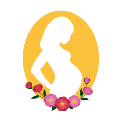Beautiful Pregnant Nude Silhouettes Illustrations Royalty Free Vector