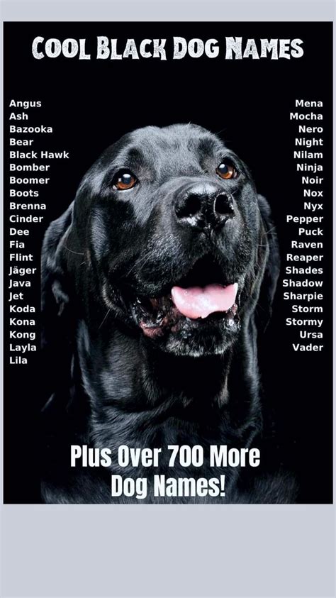 The 105 Best Black Dog Names Black Dog Names Tough Dog Names Dog Names