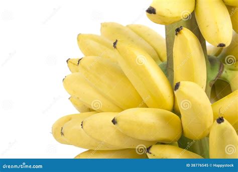 Banana Bunch Cluster Stock Image Image Of Plant Agriculture 38776545