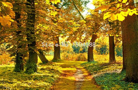 Hd Autumn Forest Maple Leaf 3d Mural Nature Photo Wallpaper Living Room