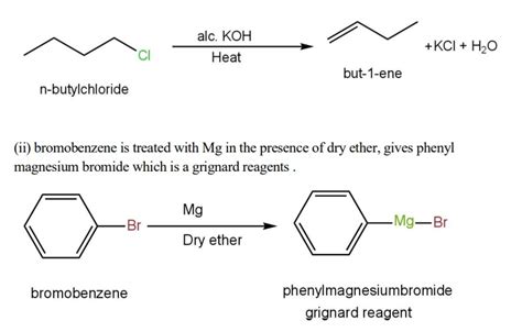Ncert Solution Chemistry Class 12 Chapter 10 Haloalkanes And Haloarenes