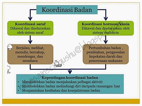 You can create one as well, really easily.get started. Nota Sains Tingkatan 4 Bab 2 | Nota Cikgu Shu