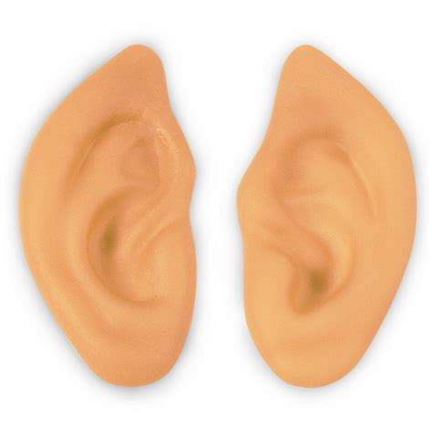 Pictures Of Ears Clipart Best