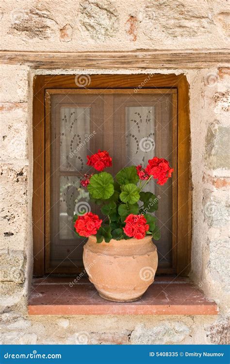 Flower Pot In Window Royalty Free Stock Photo Image 5408335