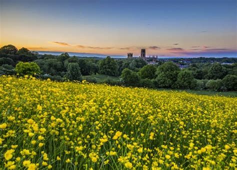 27 Inch Monitor Wallpaper - WallpaperSafari