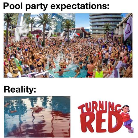 Surely The Best Pool Party Ever Thirdlifesmp