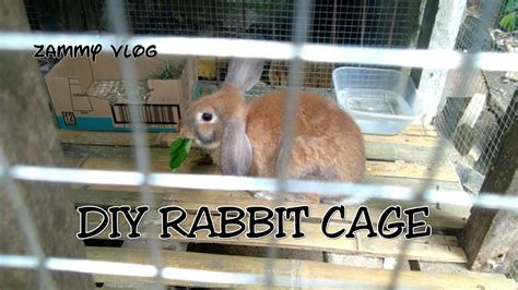 Brunos New Cage Diy Rabbit Cage Youtube