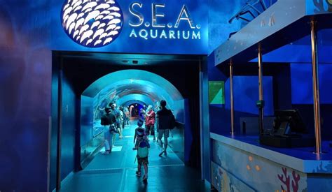 Sea Aquarium Singapore An Underwater Universe Kkday Blog