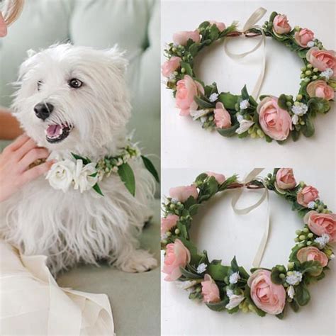 Dog Wedding Collar Dog Of Honor Dog Wedding Leash Dog Etsy Dog
