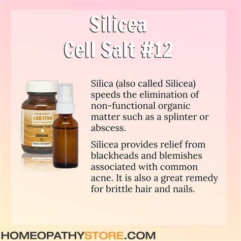 Silicea 6x Cell Salt 12 Is Also Known As Silica Is Often Called The Homeopathic Lancet It