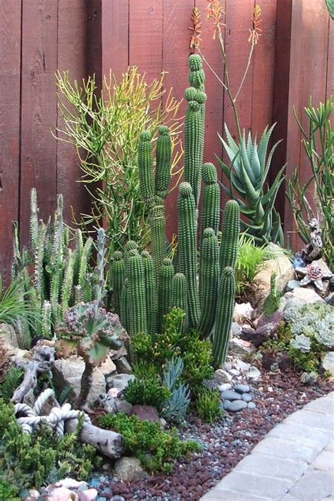 35 Attractive Desert Landscaping Front Yard Cactus Ideas 1 Cactus