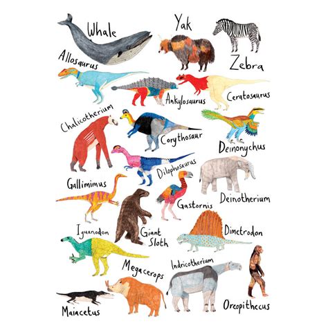 Personalised Name Animal Print By James Barker