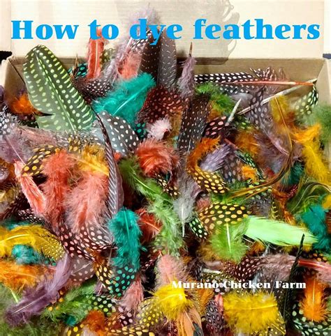 How To Dye Chicken Feathers The Cheap Way Super Easy Feather
