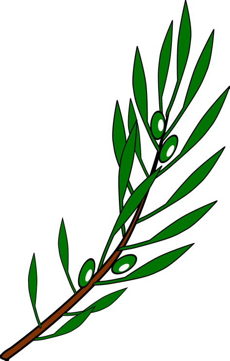 Free Olive Branch Download Free Olive Branch Png Images Free Cliparts On Clipart Library