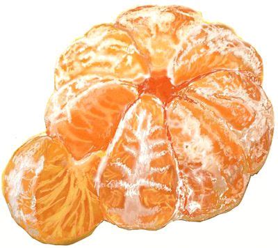 Fruit of fig tree isolated on white background. How to Draw an Orange Fruit | Fruits drawing, Watercolor ...