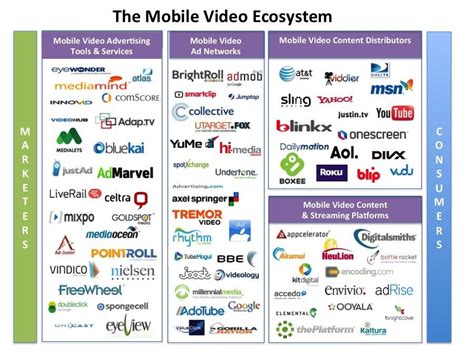 Infographic Inside The Massive Mobile Video Ecosystem Business Insider