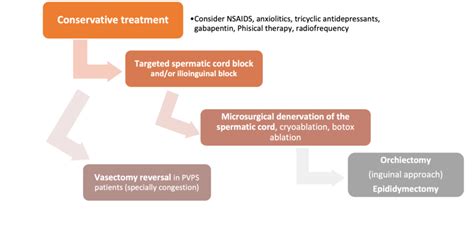 Chronic Testicular Pain An Overview Essm