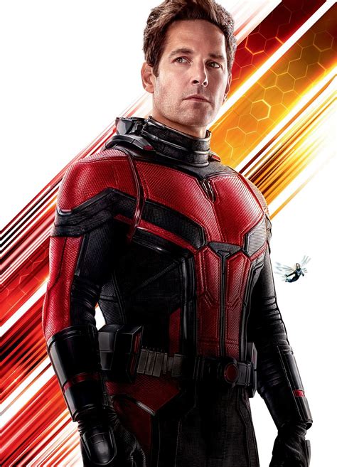 Ant Man And The Wasp Ant Man Ant Man Marvel Marvel Fan Marvel